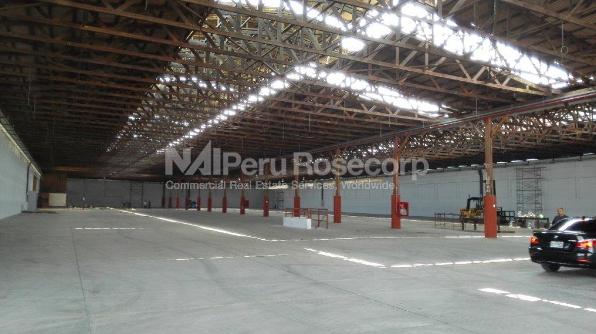 Local – Lote Industrial – 1860 m² – Ate