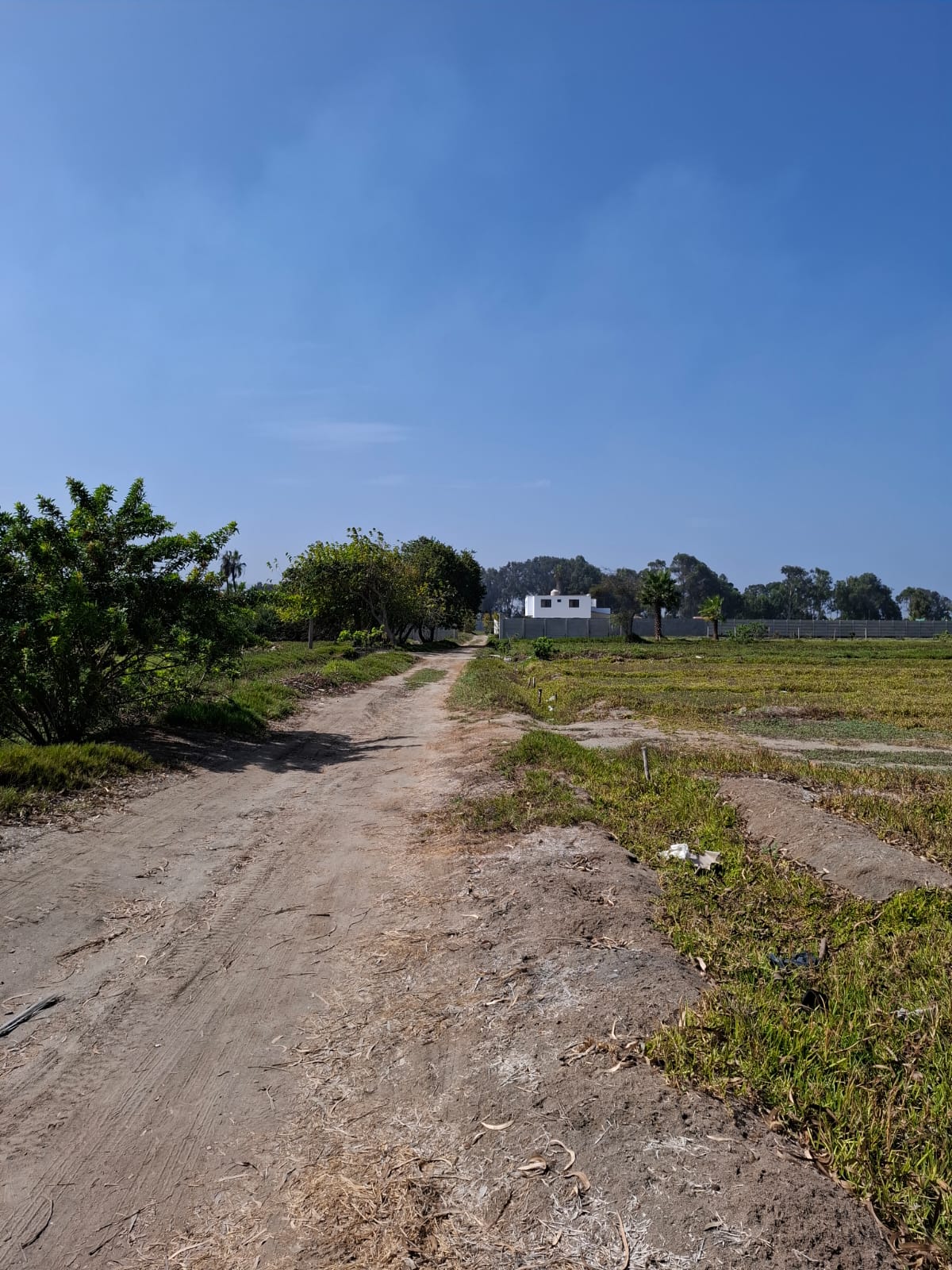 OCASIÓN: VENTA DE TERRENO DE 17,212 M2. DISTRITO DE MALA, IDEAL PARA VIVIENDAS DE CAMPO, PROYECTOS INMOBILIARIOS