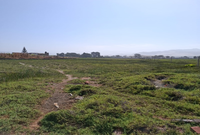 OCASIÓN: VENTA DE TERRENO DE 17,212 M2. DISTRITO DE MALA, IDEAL PARA VIVIENDAS DE CAMPO, PROYECTOS INMOBILIARIOS