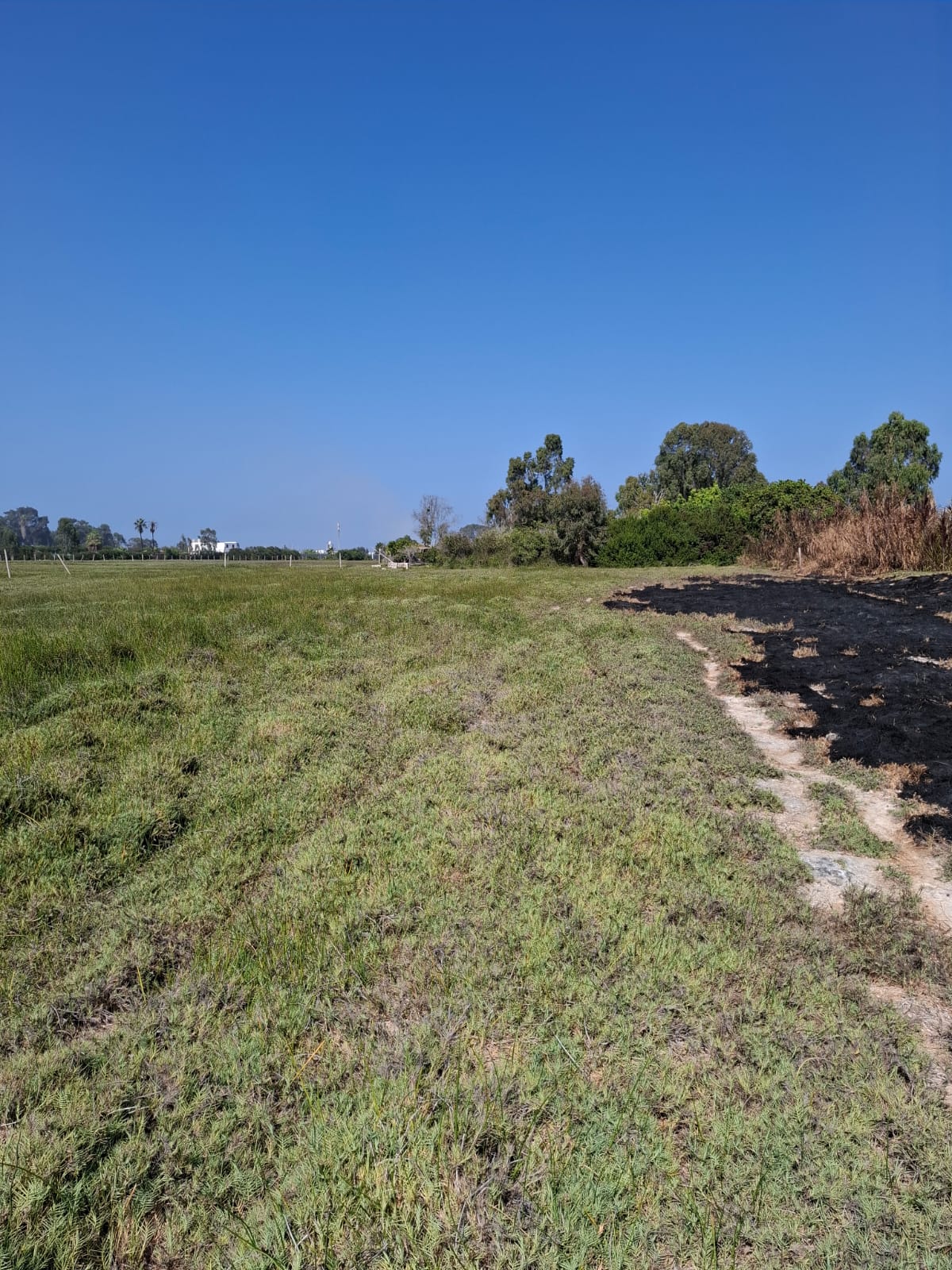 OCASIÓN: VENTA DE TERRENO DE 17,212 M2. DISTRITO DE MALA, IDEAL PARA VIVIENDAS DE CAMPO, PROYECTOS INMOBILIARIOS