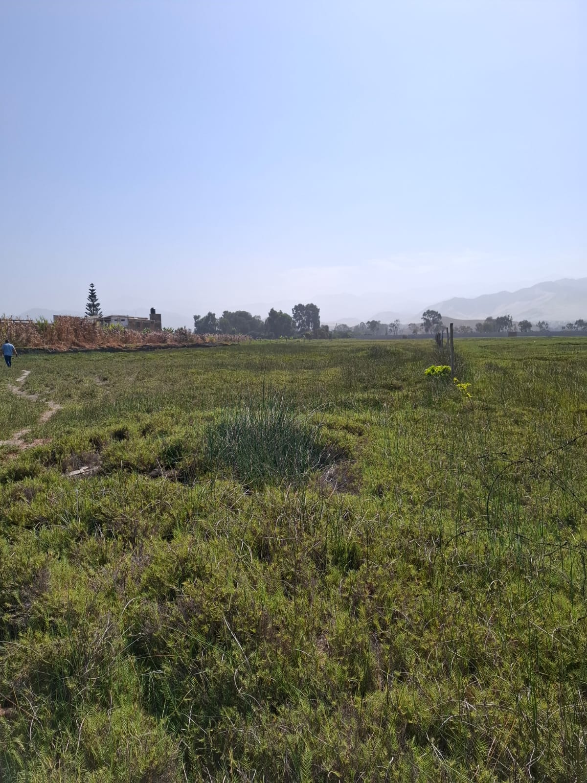OCASIÓN: VENTA DE TERRENO DE 17,212 M2. DISTRITO DE MALA, IDEAL PARA VIVIENDAS DE CAMPO, PROYECTOS INMOBILIARIOS