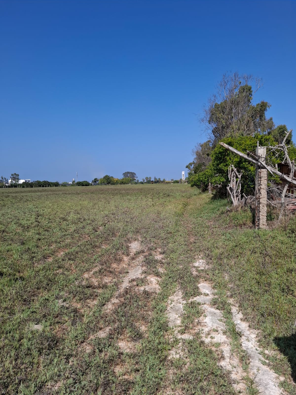 OCASIÓN: VENTA DE TERRENO DE 17,212 M2. DISTRITO DE MALA, IDEAL PARA VIVIENDAS DE CAMPO, PROYECTOS INMOBILIARIOS