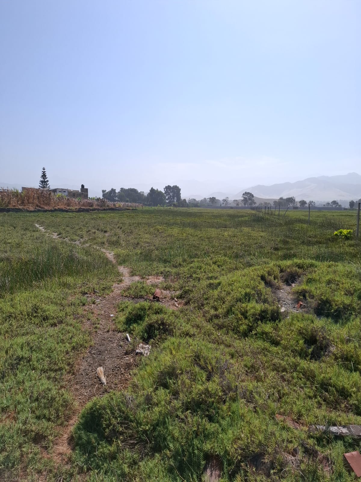 OCASIÓN: VENTA DE TERRENO DE 17,212 M2. DISTRITO DE MALA, IDEAL PARA VIVIENDAS DE CAMPO, PROYECTOS INMOBILIARIOS