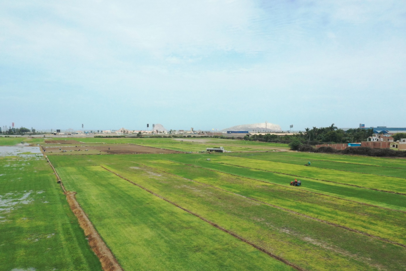 VENTA DE TERRENO COMERCIAL DE 90,000 M2., COLINDANTE CON LA ANTIGUA PANAMERICANA SUR DISTRITO DE LURÍN