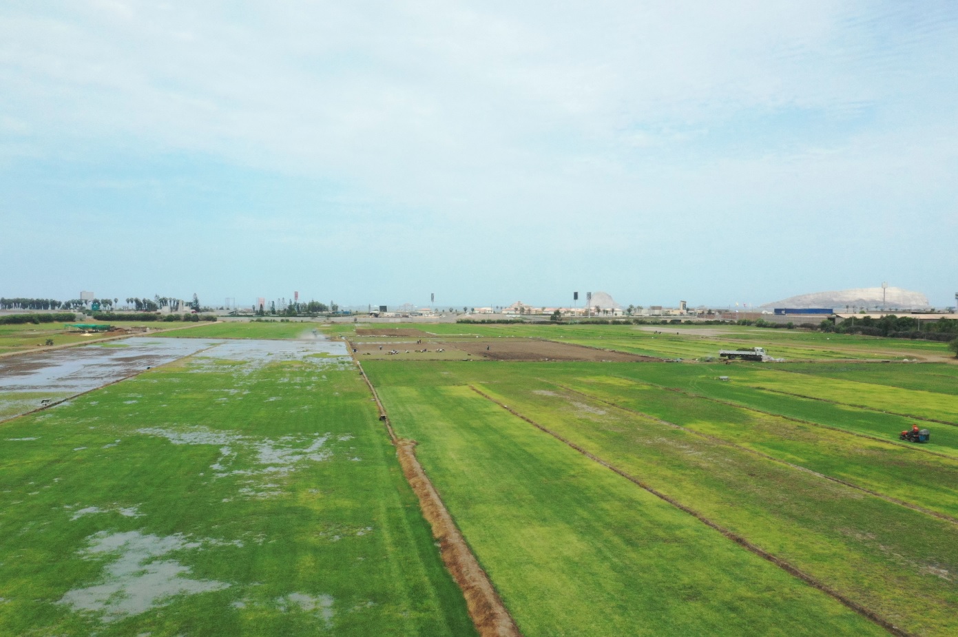 VENTA DE TERRENO COMERCIAL DE 90,000 M2., COLINDANTE CON LA ANTIGUA PANAMERICANA SUR DISTRITO DE LURÍN