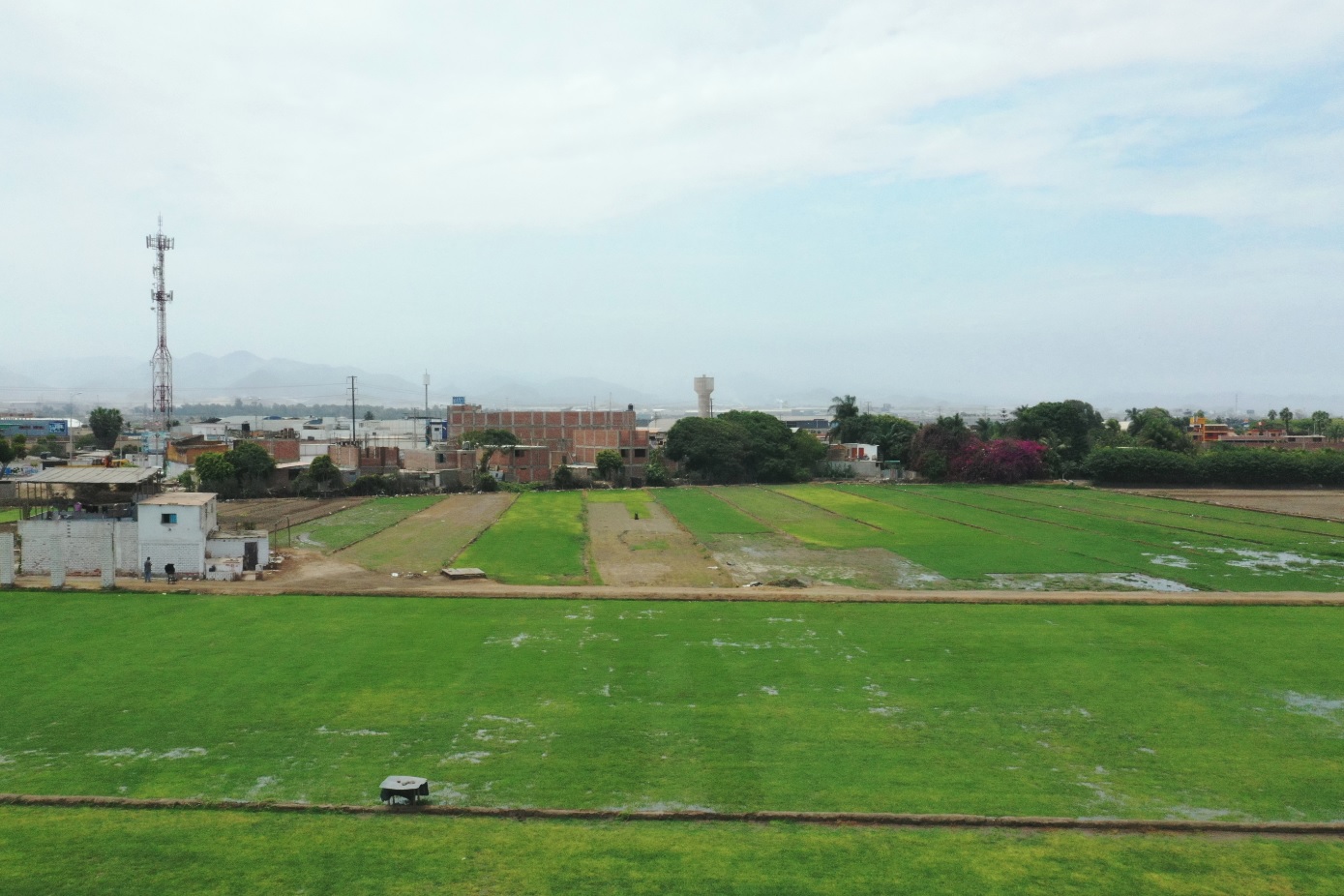 VENTA DE TERRENO COMERCIAL DE 90,000 M2., COLINDANTE CON LA ANTIGUA PANAMERICANA SUR DISTRITO DE LURÍN