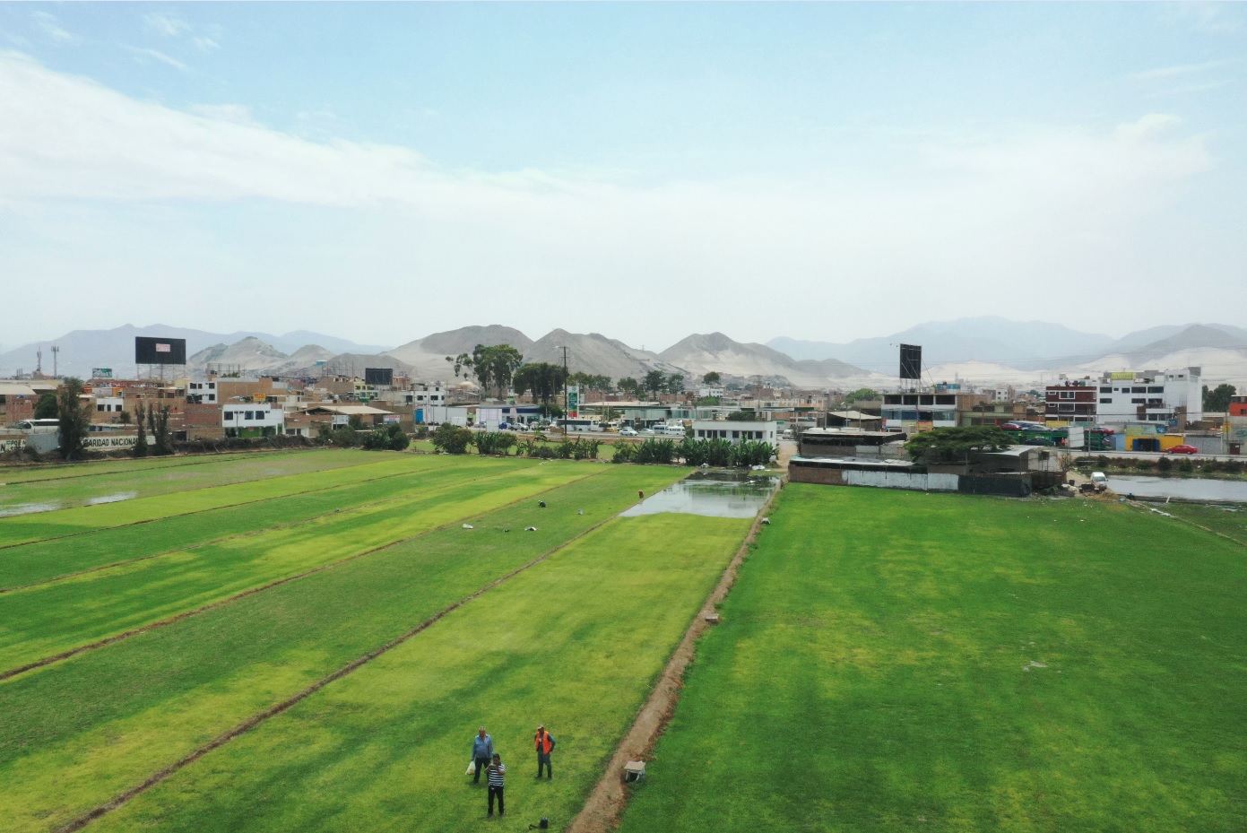 VENTA DE TERRENO COMERCIAL DE 90,000 M2., COLINDANTE CON LA ANTIGUA PANAMERICANA SUR DISTRITO DE LURÍN