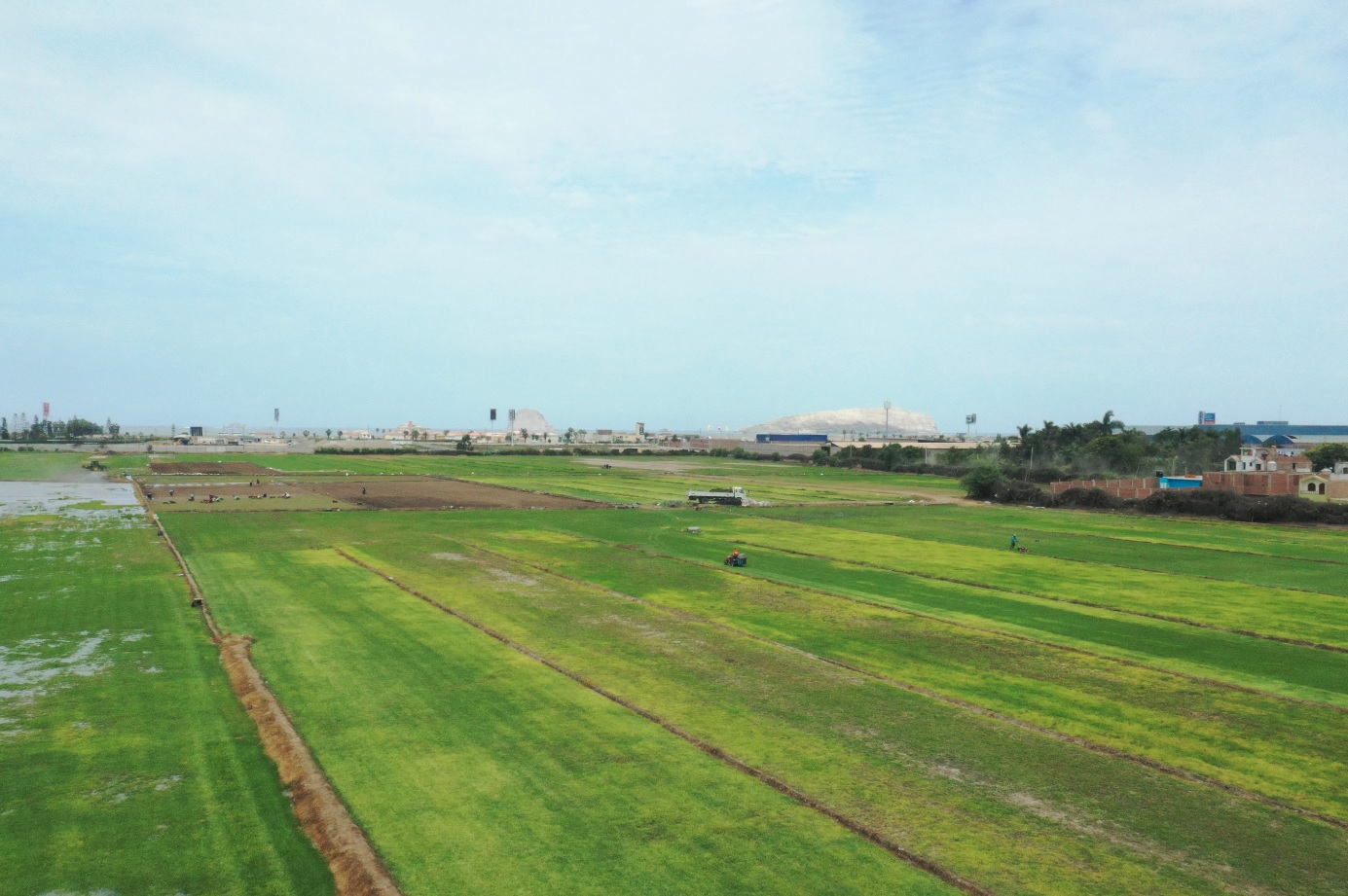 VENTA DE TERRENO COMERCIAL DE 90,000 M2., COLINDANTE CON LA ANTIGUA PANAMERICANA SUR DISTRITO DE LURÍN