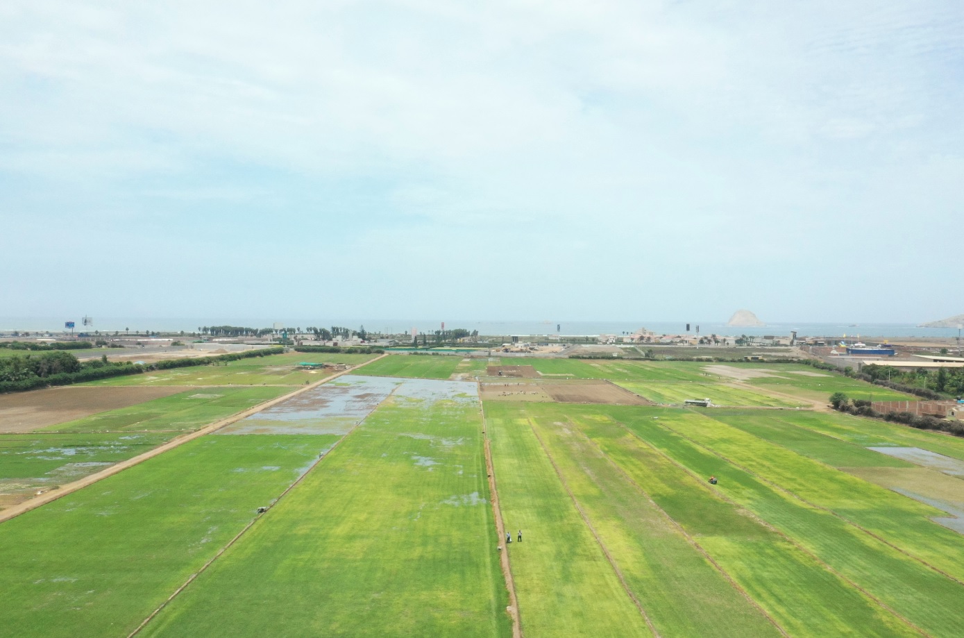 VENTA DE TERRENO COMERCIAL DE 90,000 M2., COLINDANTE CON LA ANTIGUA PANAMERICANA SUR DISTRITO DE LURÍN