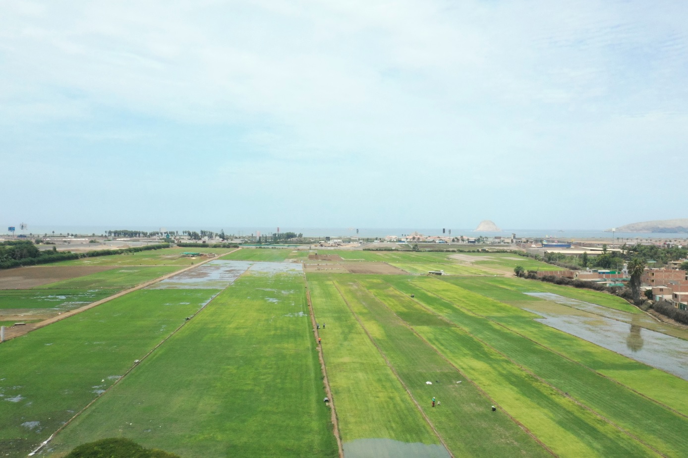 VENTA DE TERRENO COMERCIAL DE 90,000 M2., COLINDANTE CON LA ANTIGUA PANAMERICANA SUR DISTRITO DE LURÍN