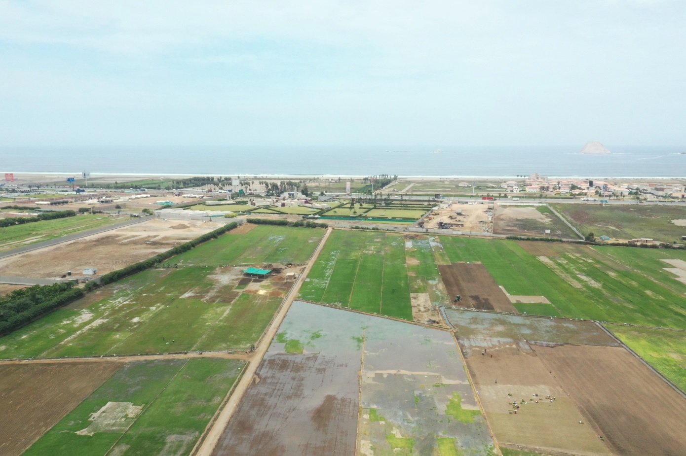 VENTA DE TERRENO COMERCIAL DE 90,000 M2., COLINDANTE CON LA ANTIGUA PANAMERICANA SUR DISTRITO DE LURÍN